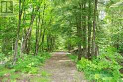 511 BRETHOUR ROAD | Bancroft Ontario | Slide Image Forty-three