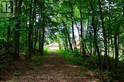 511 BRETHOUR ROAD | Bancroft Ontario | Slide Image Forty-eight