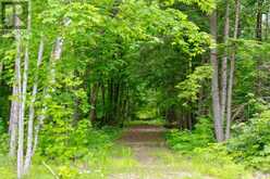 511 BRETHOUR ROAD | Bancroft Ontario | Slide Image Fifty
