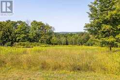 637316 ST. VINCENT-SYDENHAM TOWNLINE | Meaford Ontario | Slide Image Thirty-three