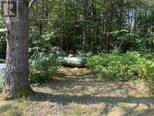 2551 YEARLEY ROAD | Huntsville Ontario | Slide Image Four