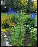 2551 YEARLEY ROAD | Huntsville Ontario | Slide Image Nine