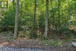 LOT #15 - 101 GRYFFIN BLUFFS LANE | Huntsville Ontario | Slide Image Ten