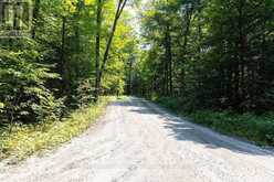LOT #15 - 101 GRYFFIN BLUFFS LANE | Huntsville Ontario | Slide Image Fourteen