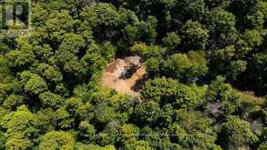 LOT #15 - 101 GRYFFIN BLUFFS LANE | Huntsville Ontario | Slide Image Two