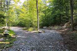LOT #15 - 101 GRYFFIN BLUFFS LANE | Huntsville Ontario | Slide Image Six