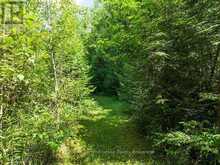 413669 ROAD 41A | Grey Highlands Ontario | Slide Image Thirty-six