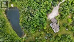 413669 ROAD 41A | Grey Highlands Ontario | Slide Image Forty-eight