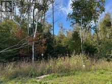13 LAKESIDE WOODS CRESCENT | Port Elgin Ontario | Slide Image Ten