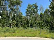 13 LAKESIDE WOODS CRESCENT | Port Elgin Ontario | Slide Image Seven