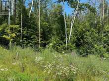 13 LAKESIDE WOODS CRESCENT | Port Elgin Ontario | Slide Image Eight