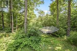 1017 BARLOCHAN ROAD | Gravenhurst Ontario | Slide Image Two