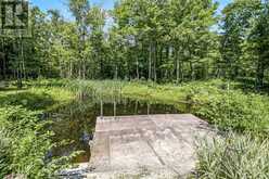 1017 BARLOCHAN ROAD | Gravenhurst Ontario | Slide Image Three