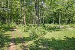1017 BARLOCHAN ROAD | Gravenhurst Ontario | Slide Image Five