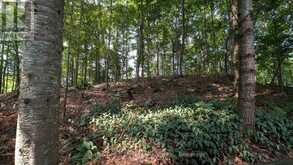 213 WOODLAND DRIVE | Huntsville Ontario | Slide Image Nineteen