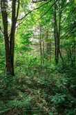 167 NORTH PICKEREL LAKE ROAD | Magnetawan Ontario | Slide Image Ten