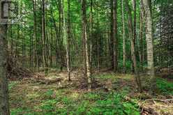 167 NORTH PICKEREL LAKE ROAD | Magnetawan Ontario | Slide Image Fifteen