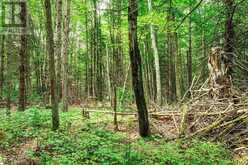 167 NORTH PICKEREL LAKE ROAD | Magnetawan Ontario | Slide Image Sixteen