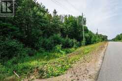 167 NORTH PICKEREL LAKE ROAD | Magnetawan Ontario | Slide Image Seventeen