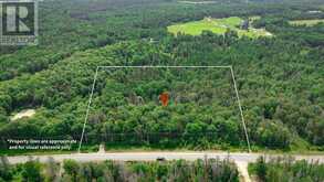167 NORTH PICKEREL LAKE ROAD | Magnetawan Ontario | Slide Image One