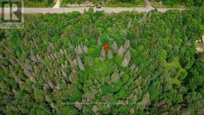 167 NORTH PICKEREL LAKE ROAD | Magnetawan Ontario | Slide Image Four