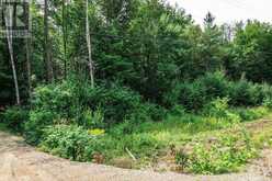 167 NORTH PICKEREL LAKE ROAD | Magnetawan Ontario | Slide Image Six
