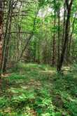167 NORTH PICKEREL LAKE ROAD | Magnetawan Ontario | Slide Image Eight