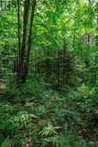 167 NORTH PICKEREL LAKE ROAD | Magnetawan Ontario | Slide Image Nine