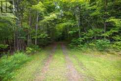 1 FIVE FINGER LANE | Whitestone Ontario | Slide Image Forty-three