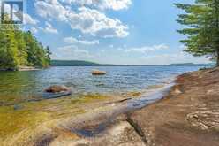 19750 KAWAGAMA BIG TROUT ISLAND | Lake of Bays Ontario | Slide Image Eleven