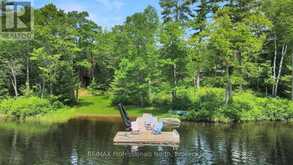 3047 HARBURN ROAD | Haliburton Ontario | Slide Image Forty-seven