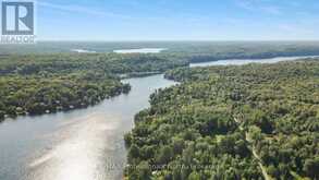 1500 TWELVE MILE LAKE ROAD | Minden Hills Ontario | Slide Image Fifty
