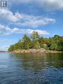 24 ARBOR VITAE ISLAND | Whitestone Ontario | Slide Image Forty-two