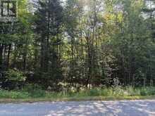 0 PARISH LINE ROAD | Haliburton Ontario | Slide Image Ten