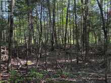 0 PARISH LINE ROAD | Haliburton Ontario | Slide Image Eleven