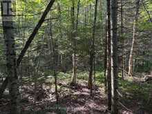 0 PARISH LINE ROAD | Haliburton Ontario | Slide Image Twelve