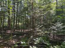 0 PARISH LINE ROAD | Haliburton Ontario | Slide Image Fifteen