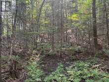 0 PARISH LINE ROAD | Haliburton Ontario | Slide Image Sixteen