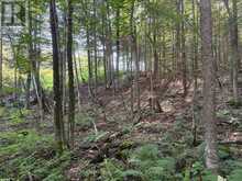 0 PARISH LINE ROAD | Haliburton Ontario | Slide Image Seventeen