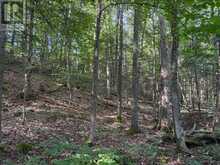 0 PARISH LINE ROAD | Haliburton Ontario | Slide Image Eighteen