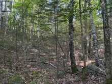 0 PARISH LINE ROAD | Haliburton Ontario | Slide Image Nineteen