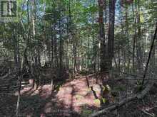0 PARISH LINE ROAD | Haliburton Ontario | Slide Image Twenty