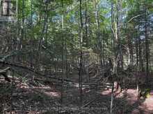 0 PARISH LINE ROAD | Haliburton Ontario | Slide Image Twenty-one