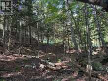 0 PARISH LINE ROAD | Haliburton Ontario | Slide Image Twenty-two