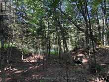 0 PARISH LINE ROAD | Haliburton Ontario | Slide Image Twenty-three