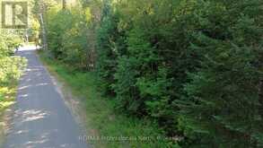 0 PARISH LINE ROAD | Haliburton Ontario | Slide Image Six