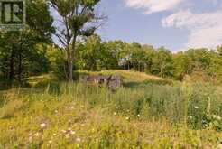 7243 CONCESSION 1 ROAD | Puslinch Ontario | Slide Image Eight
