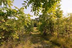 7243 CONCESSION 1 ROAD | Puslinch Ontario | Slide Image Nine