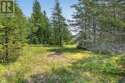 284 LEASK BAY SHORES MANITOWANING LANE W | Assiginack Ontario | Slide Image Forty-four
