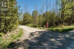 025359 EUPH-ST VINCENT TOWNLINE | Meaford Ontario | Slide Image Five